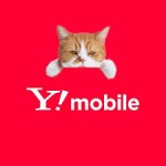 Y!mobile（ワイモバイル) SIM(回線)のみの契約でもキャッシュバックがもらえてお得な件 条件は?MVNOよりおすすめな理由は?